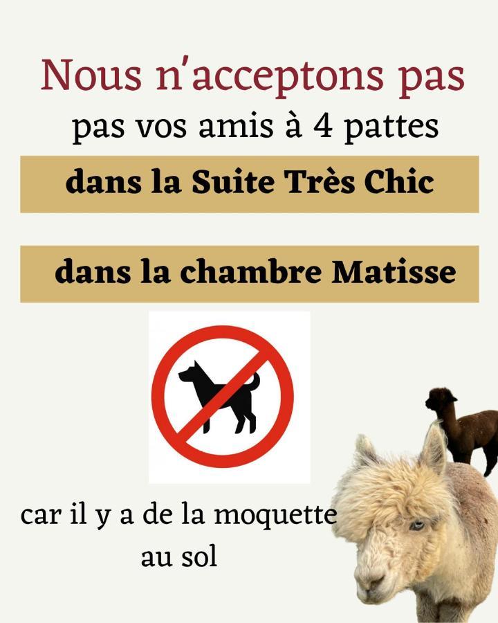 The Alpaca B&B Chalais  Esterno foto